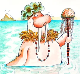 Reine de la mer morse